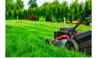 Trawa dekoracyjna, ogrodowa Stylowy trawnik 200 m² 5 kg