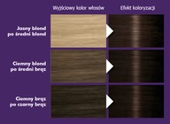 Palette Farba do włosów N2 (3-0) Ciemny Brąz x3
