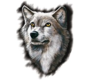 Наклейка автомобиль тюнинг wilk головка wilka wolf wild uv фото, цена