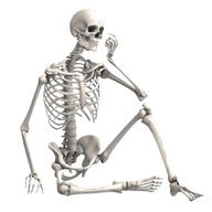 Szkielet człowieka model 90cm kościotrup dekoracja