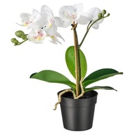 IKEA FEJKA SZTUCZNA ROŚLINA DONICZKOWA ORCHIDEA