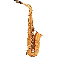 Alto saxofón Arnolds Sons AAS-110 YG