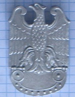 NSZ Eagle odznak