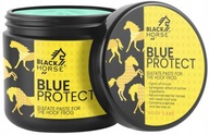 BLACK HORSE BLUE PROTECT sulfátová pasta 500 ml