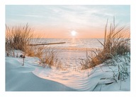 Fototapeta DO SALONU 3D Plaża Morze Wydmy 368x254