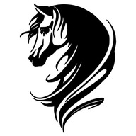 Naklejka KOŃ Z GRZYWĄ na Samochód konie - Dekoracja dla Miłośników Koni