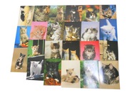 Pohľadnice Mačky Perzská mačka domáca sada 11 kusov