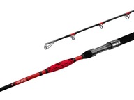 RYBÁŘSKÝ PRUT DELPHIN DANGER CATFISH 310 cm 350 g 2ks SUMCOVÝ