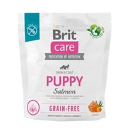 Sucha karma Brit łosoś dla psów z alergią 1 kg