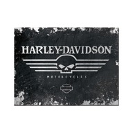 Logo chladničky MAGNET 6x8 HARLEY DAVIDSON Skull