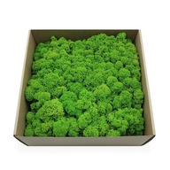 250 g netto MECH CHROBOTEK sobí VYČIŠTĚNÝ