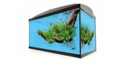 Zestaw akwarium Wiwal 40 x 25 x 35 cm z wyposażeniem 35L