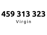 459-313-323 | Starter Virgin (31 33 23) #C