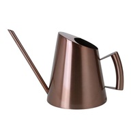 Modern Style Stainless Steel Watering Can with