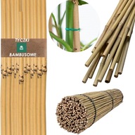 Tyczka Stokrotka bambus 60 cm x 10 mm 1 szt.