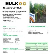 Semená kukurice Kukurica Mas Hulk 80 000 C/1