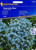 Nasiona heavenly blue