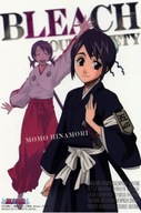 Plagát Anime Manga Bleach blh_038 A1+