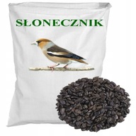 Słonecznik Benex 10 kg