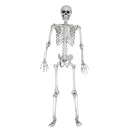 Szkielet stojący plastik 170 cm