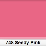 Farebná filtračná fólia Lee 748 Seedy Pink 50 x 60 cm