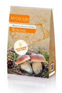 BOROWIKI Certyfikowana grzybnia grzybów leśnych