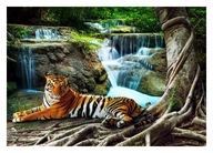 Fototapeta 3D wodospad tygrys 368x254 F00386