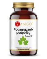 YANGO podagrycznik pospolity 90 kapsułek