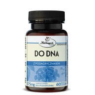 Kapsułki DO DNA Z PODAGRYCZNIKIEM 60 szt Herbapol