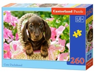 Puzzle Castorland 260 elementów Puzzle 260 Cute Daschshund B-27514-1