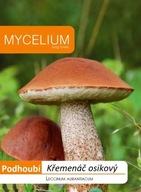 Grzybnia Mycelium Koźlarz czerwony 0,01kg