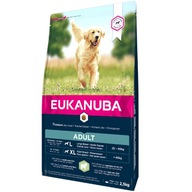 Sucha karma Eukanuba jagnięcina 12 kg