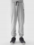 4F spodnie dresowe wielokolorowy rozmiar 158 (153 - 158 cm)