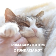 Logo zbiórki Wesprzyj bezdomne koty