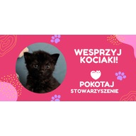 Logo zbiórki Wspieraj leczenie kociaków