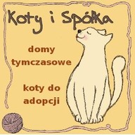 Logo zbiórki Zbiórka środków na opiekę nad bezdomnymi kotami