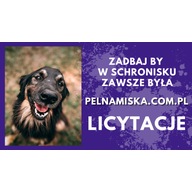 Logo zbiórki Wesprzyj schronisko dla psów