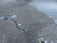 фото thumb №8, Бампер перед bmw 1 e82 e88 lift lci pdc bdb