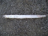 фото thumb №1, Шторка безпеки права mazda 6 kombi 2002-