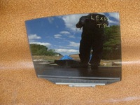 фото thumb №1, Lexus rx 300 05r стекло дверь задняя правый