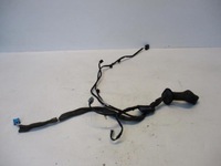 фото thumb №1, Жгут электропроводка дверь правый перед kangoo iii