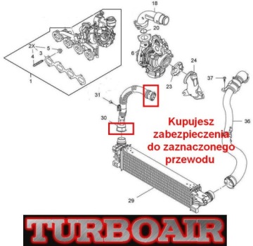 фото thumb №6, Opel vivaro 1,6 dci шланг turbo інтеркулера