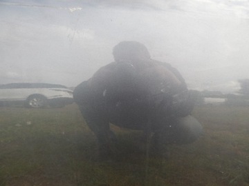 фото thumb №2, Двері skoda fabia