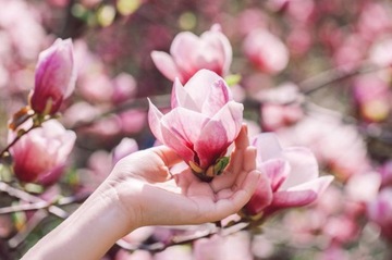КОМПО-УДОБРЕНИЕ ДЛЯ РОДОДОДЕНДРОНОВ, ГОРДАНГЕН, АЗАЛЕВОГО ХИСТА