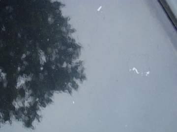 фото thumb №6, Двері перед передні праве bmw x5 e70