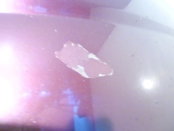 фото thumb №4, Капот перед opel vectra c signum z594