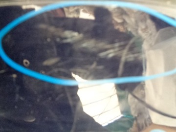 фото thumb №15, Renault espace iii grande бампер задній задня