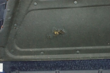 фото thumb №4, Шумоизоляция капот двигателя maserati 3200gt 98-02