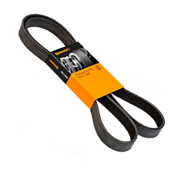 фото thumb №1, Ремень многоручьевой vw golf v plus 1.9tdi 2.0tdi