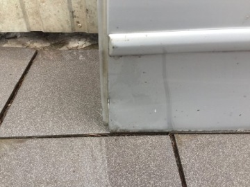 Fiat linea левая дверь задняя задние задние 2007- Оригинал, фото thumb